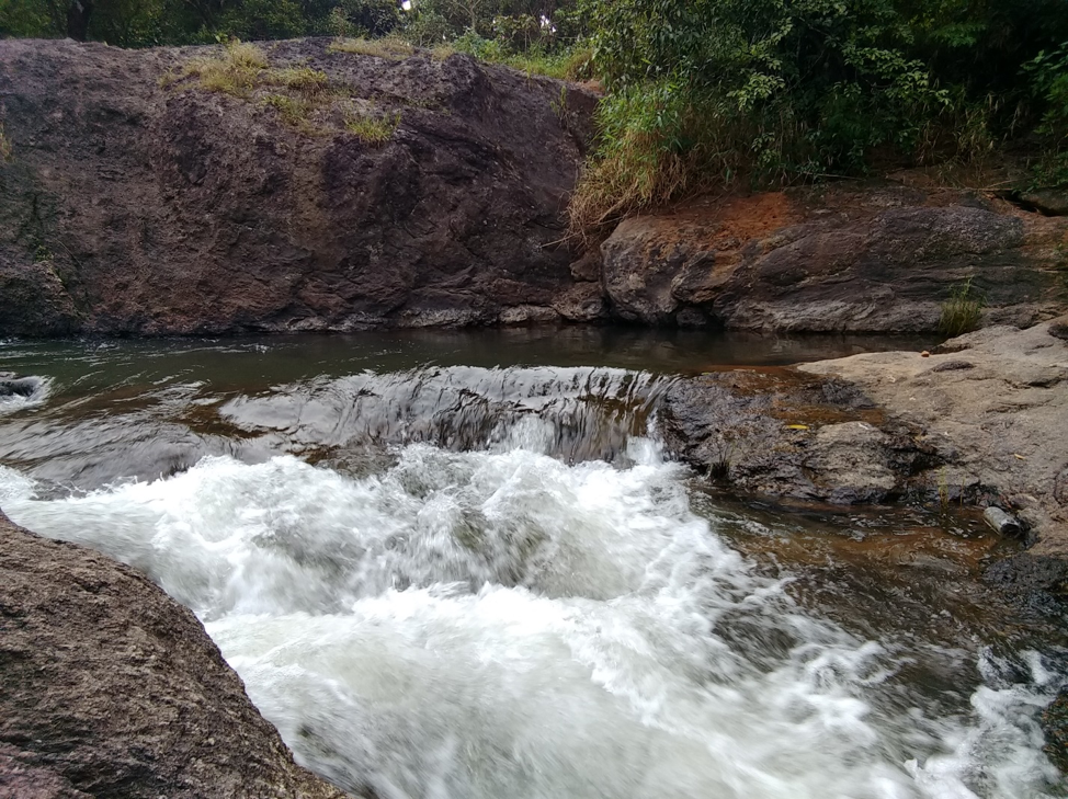 A Memorable Trip to Sakleshpur